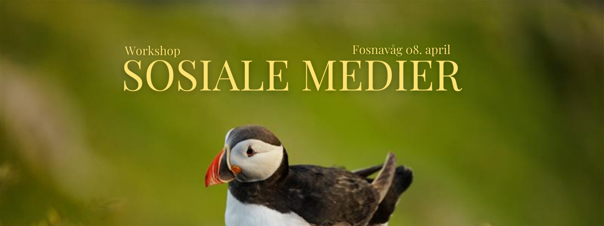 Sosiale mediekurs Fosnavåg